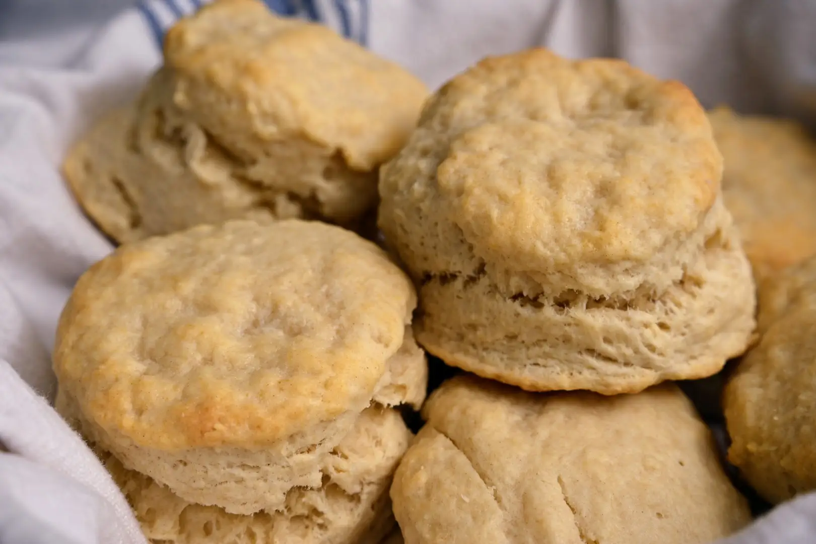 Homemade biscuits